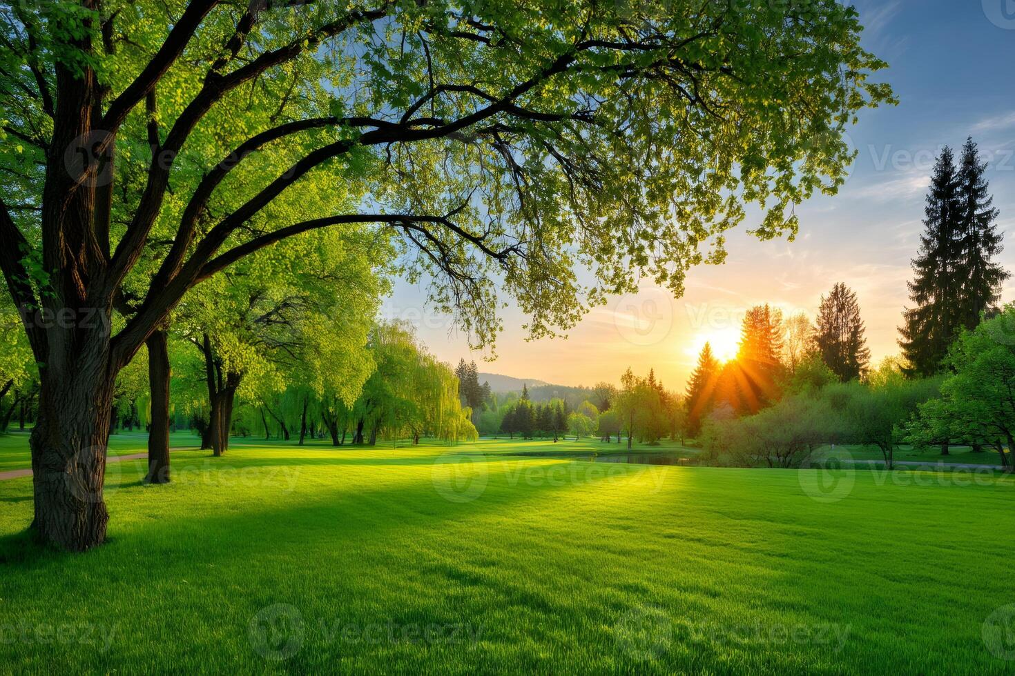Vibrant green grass golf course with trees at sunset photo