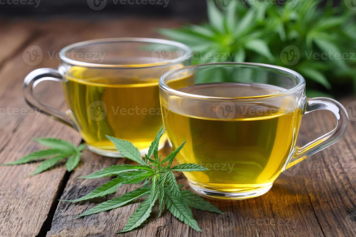 Cannabis tea in glass cups with fresh hemp leaves on rustic wooden table photo
