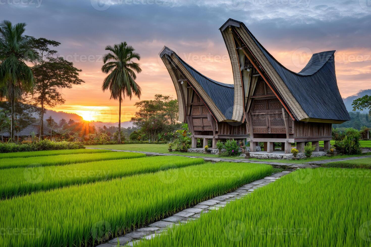 Scenic view of traditional tongkonan houses in rice fields at sunset, tana toraja regency, sulawesi, indonesia photo