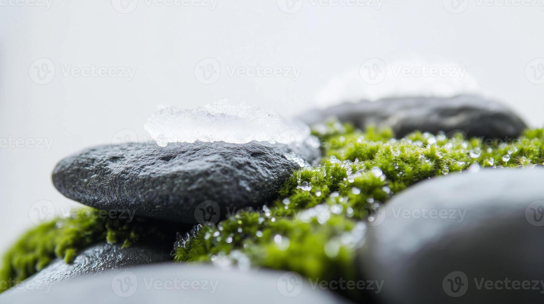 A close up of moss and rocks with water photo