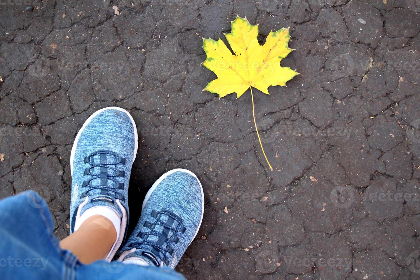Yellow wedge leaf at feet on damp ground photo