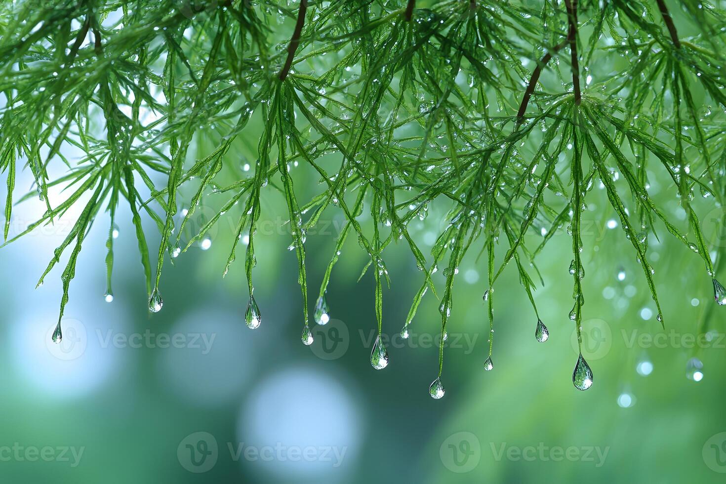 Fresh Green Foliage with Dew Drops Nature's Morning Serenity photo