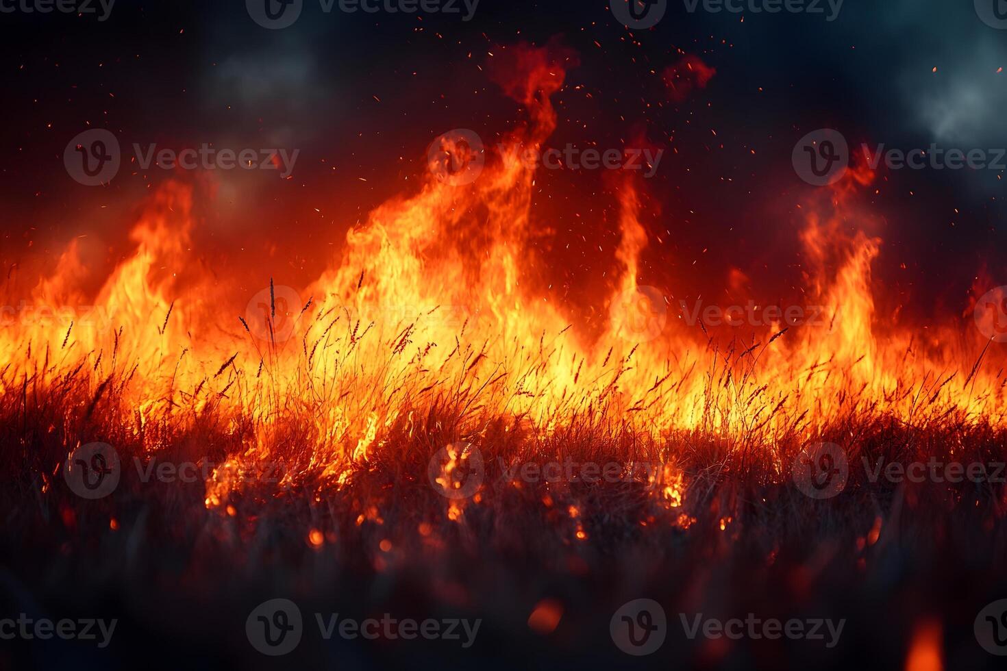 Wildfire Blaze in Grasslands Under Dramatic Dark Sky photo