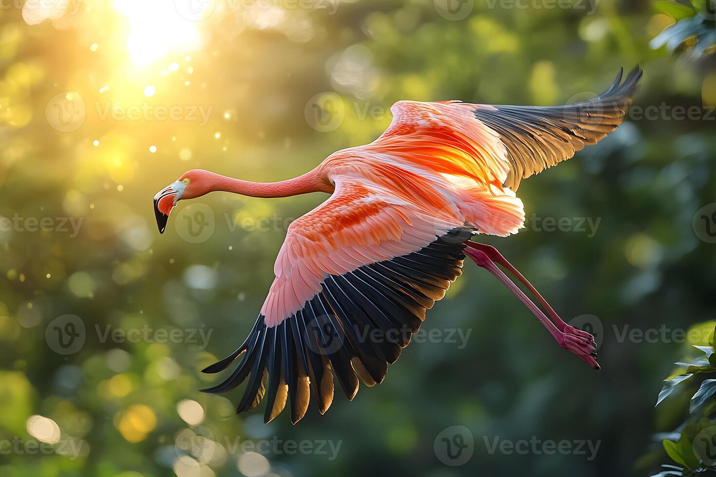 Vibrant Flamingo in Flight at Sunrise - Nature Photography for Posters and Prints photo