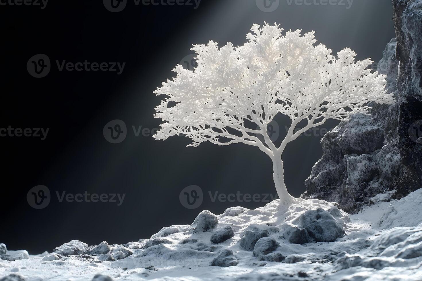 Tranquil Winter Scene with Frost-Covered Tree on Rocky Outcrop in Serene Light photo
