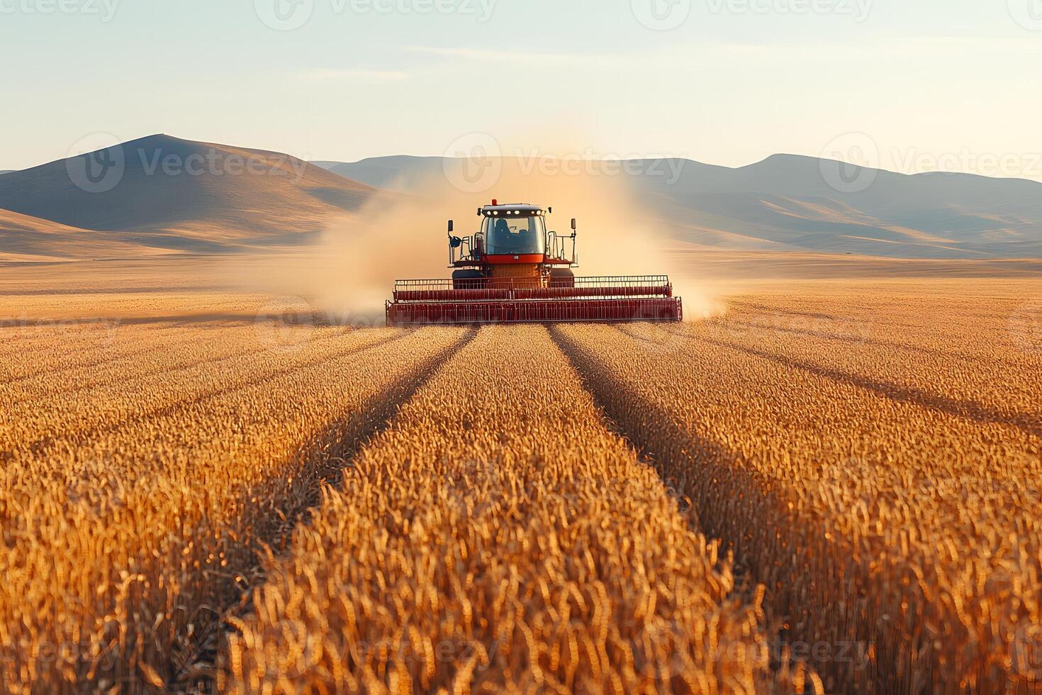 Agricultural Harvest Scene with Combine Harvester in Golden Wheat Field photo
