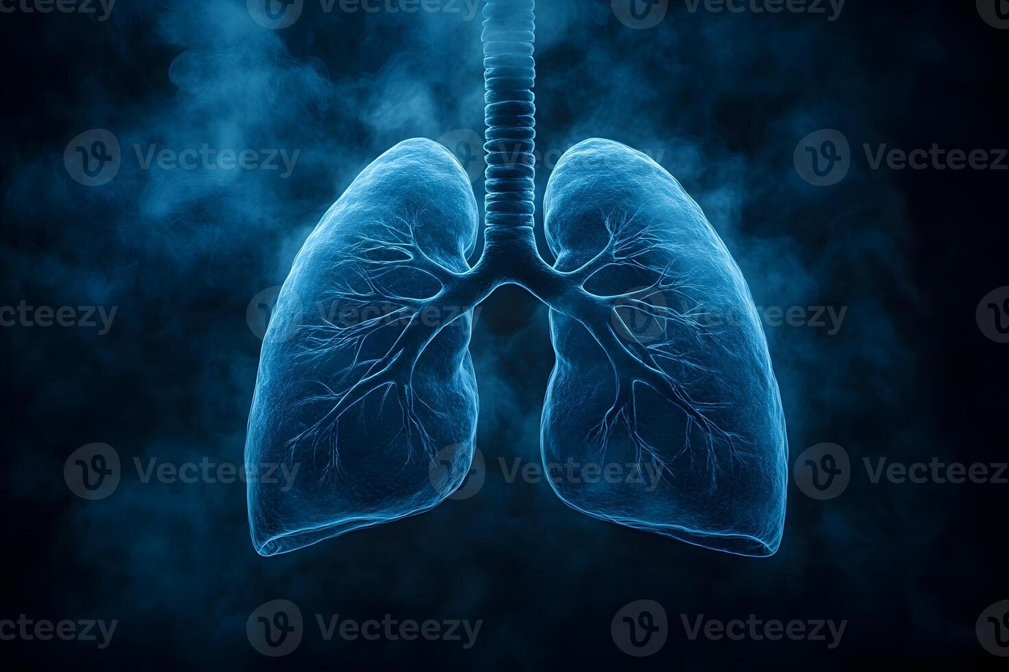 Human Lungs Anatomy on Dark Background for Medical Education and Design photo