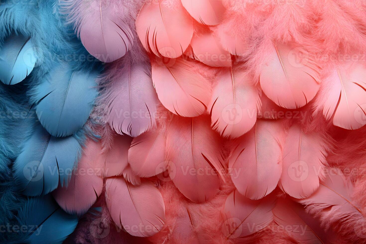 Pastel Feather Texture in Soft Blue and Pink for Creative Design Projects photo