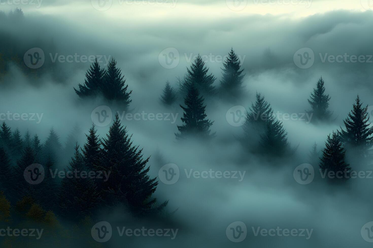 Serene Foggy Forest Landscape with Evergreen Trees for Nature Prints and Posters photo