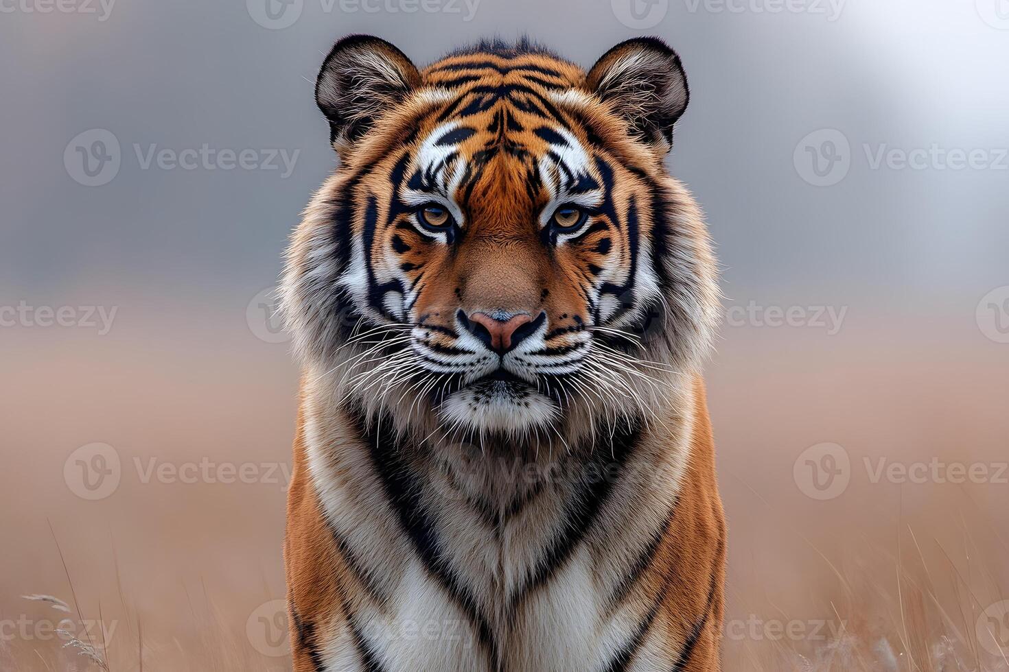 Majestic Tiger in Natural Habitat - Wildlife Conservation and Photography photo