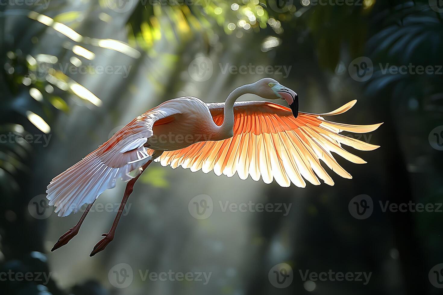 Graceful Flamingo in Flight Amidst Sunlit Jungle Foliage photo