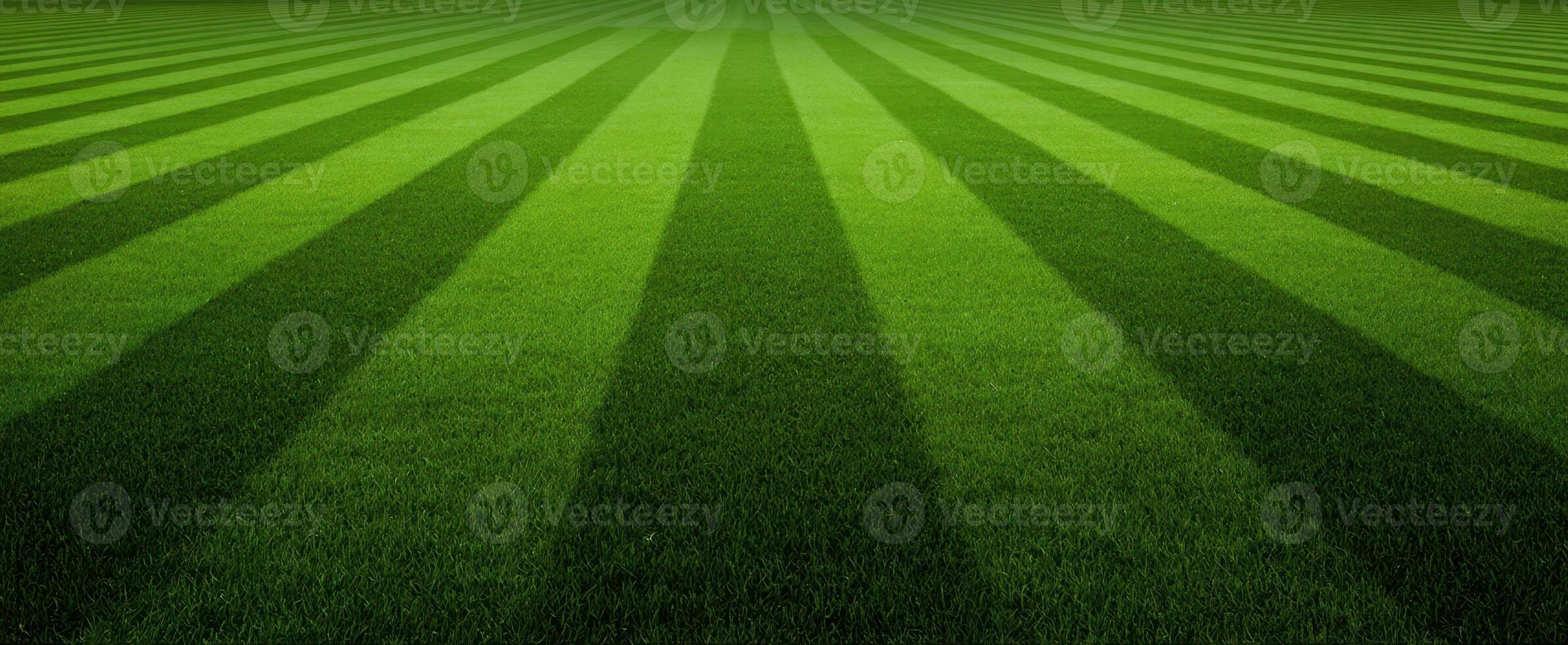 The lush green grass field with unique striped patterns creating a vibrant landscape. photo