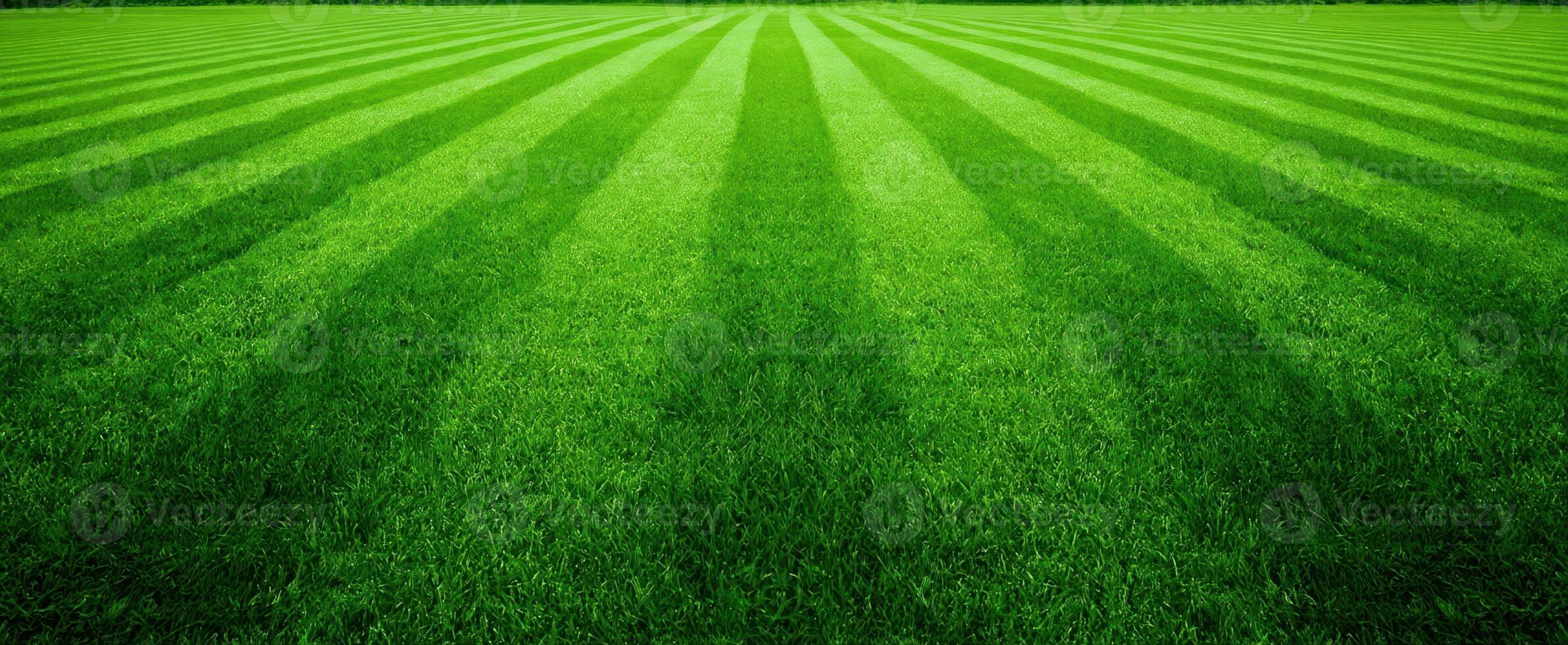 The lush green lawn with vibrant striped patterns under sunlight. photo