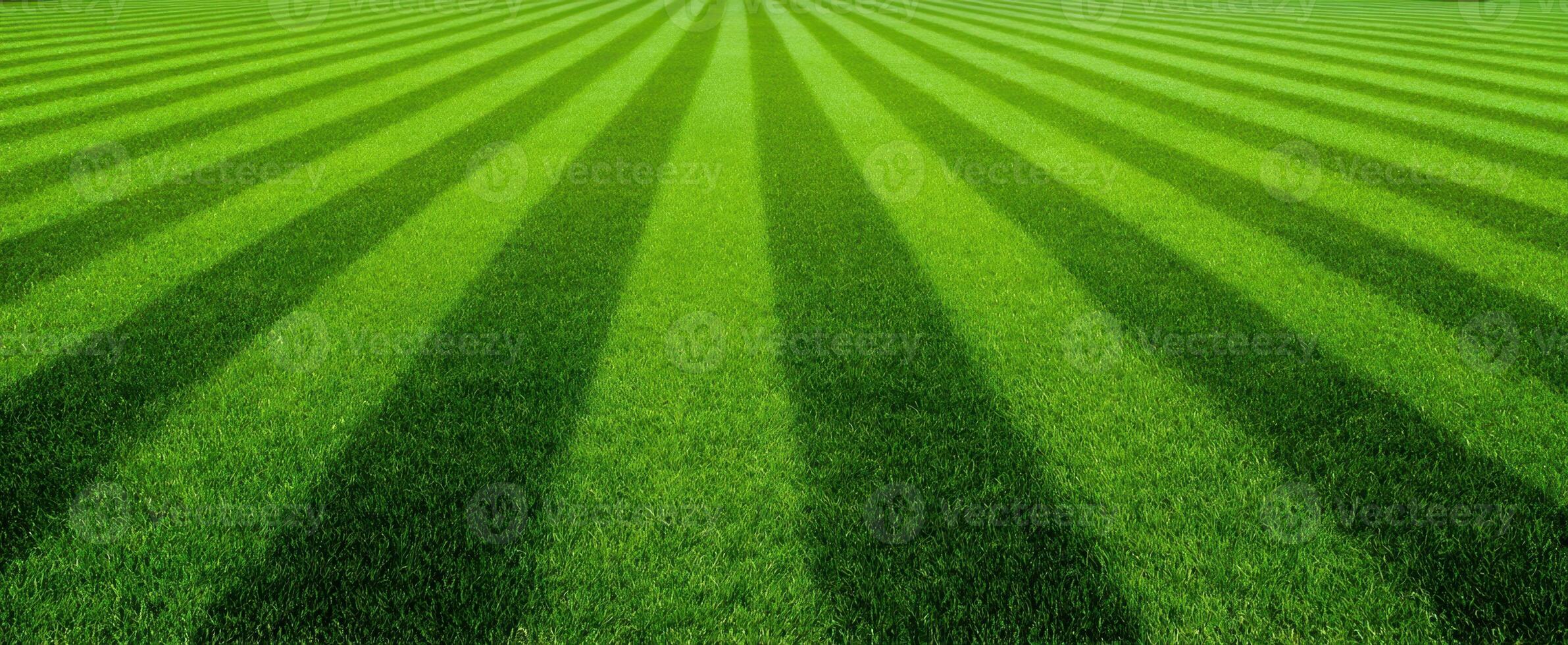 The vibrant green lawn with striped patterns creating a scenic outdoor landscape. photo
