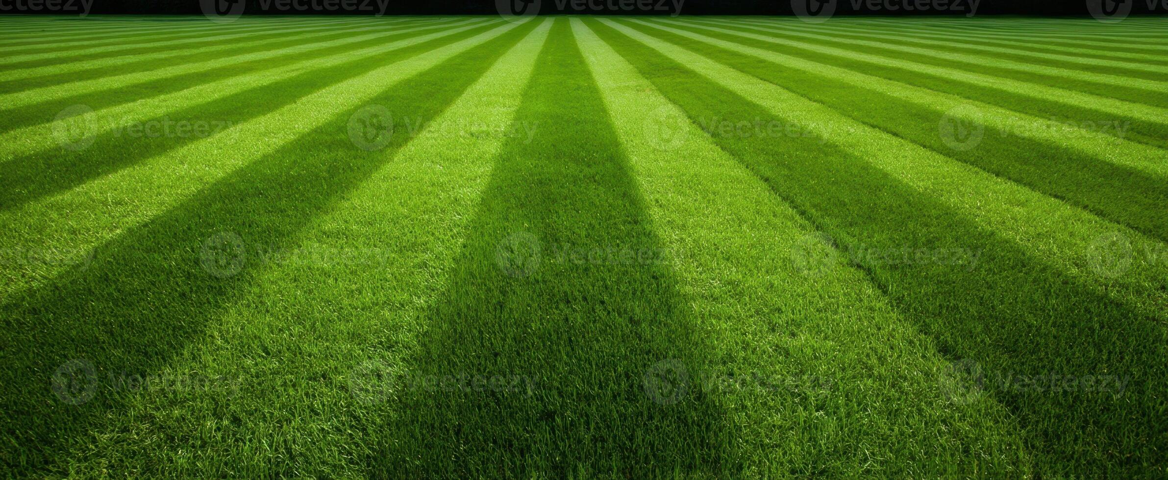 The Lush Green Field with Striped Pattern Under Bright Sunlight photo
