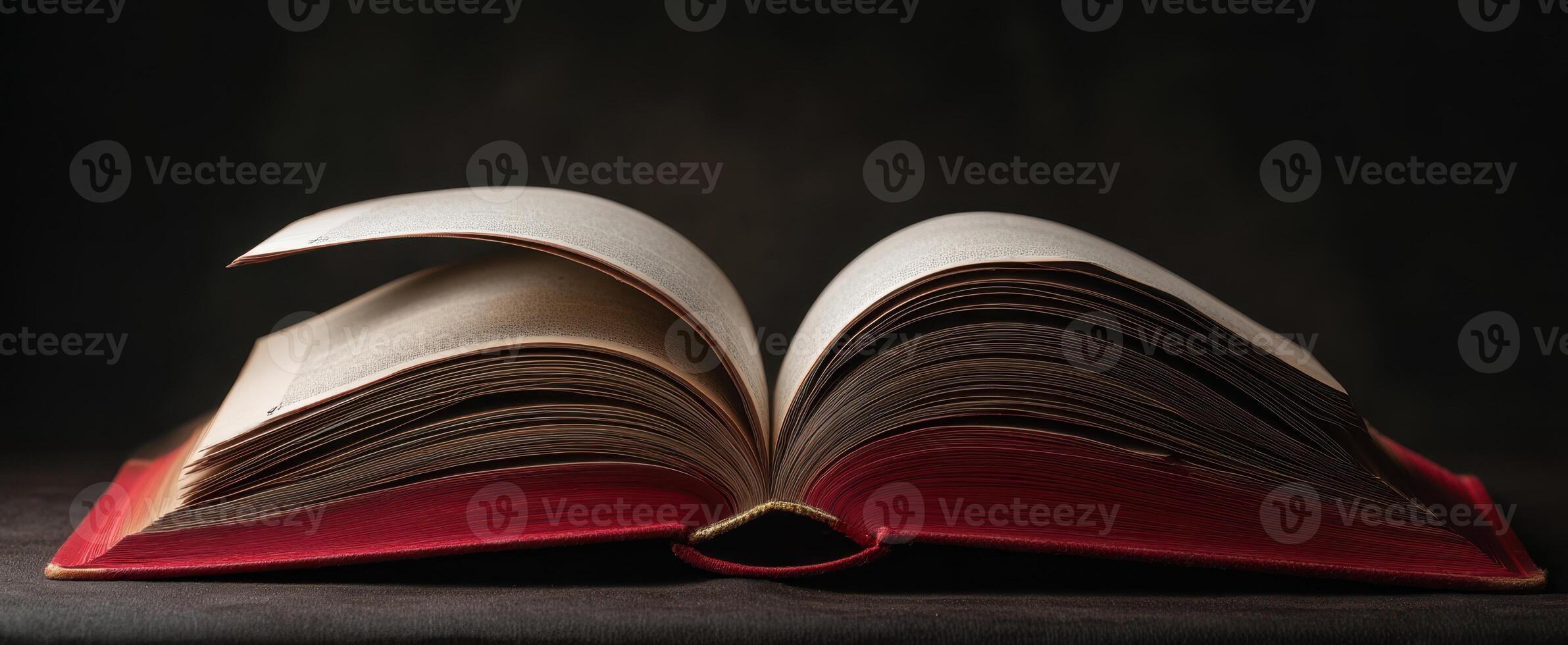 The elegant open book revealing its textured pages in dim light. photo