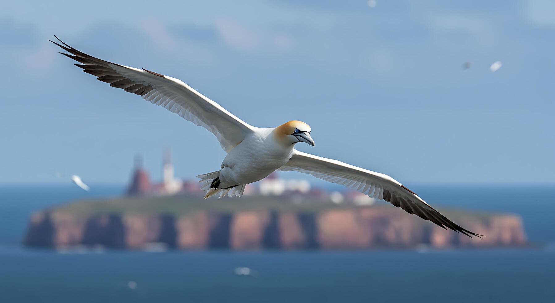 A bird flying over a small island photo
