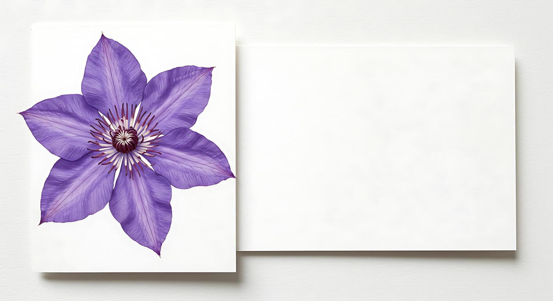 A purple clematis flower is shown on a white card photo