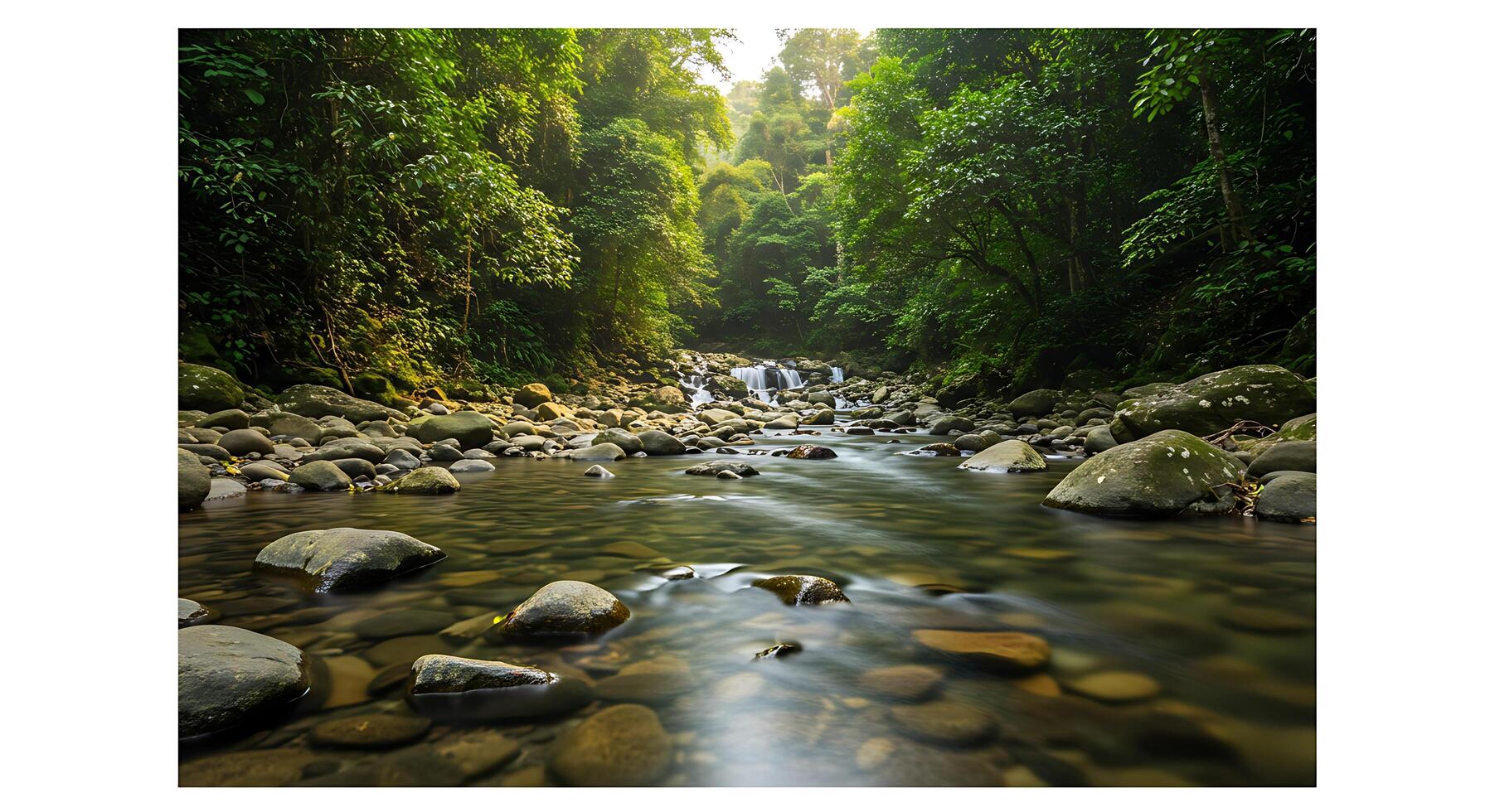 A river flowing through a forest with rocks and trees photo