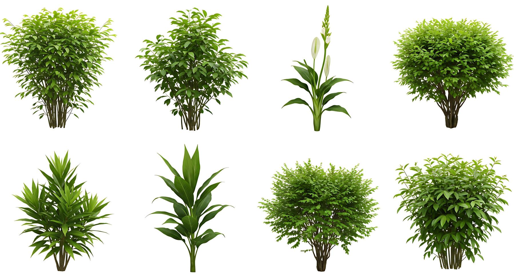 Various types of plants in different stages of growth photo