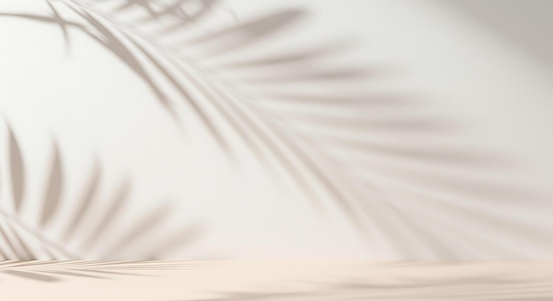 A palm tree shadow on a white wall photo