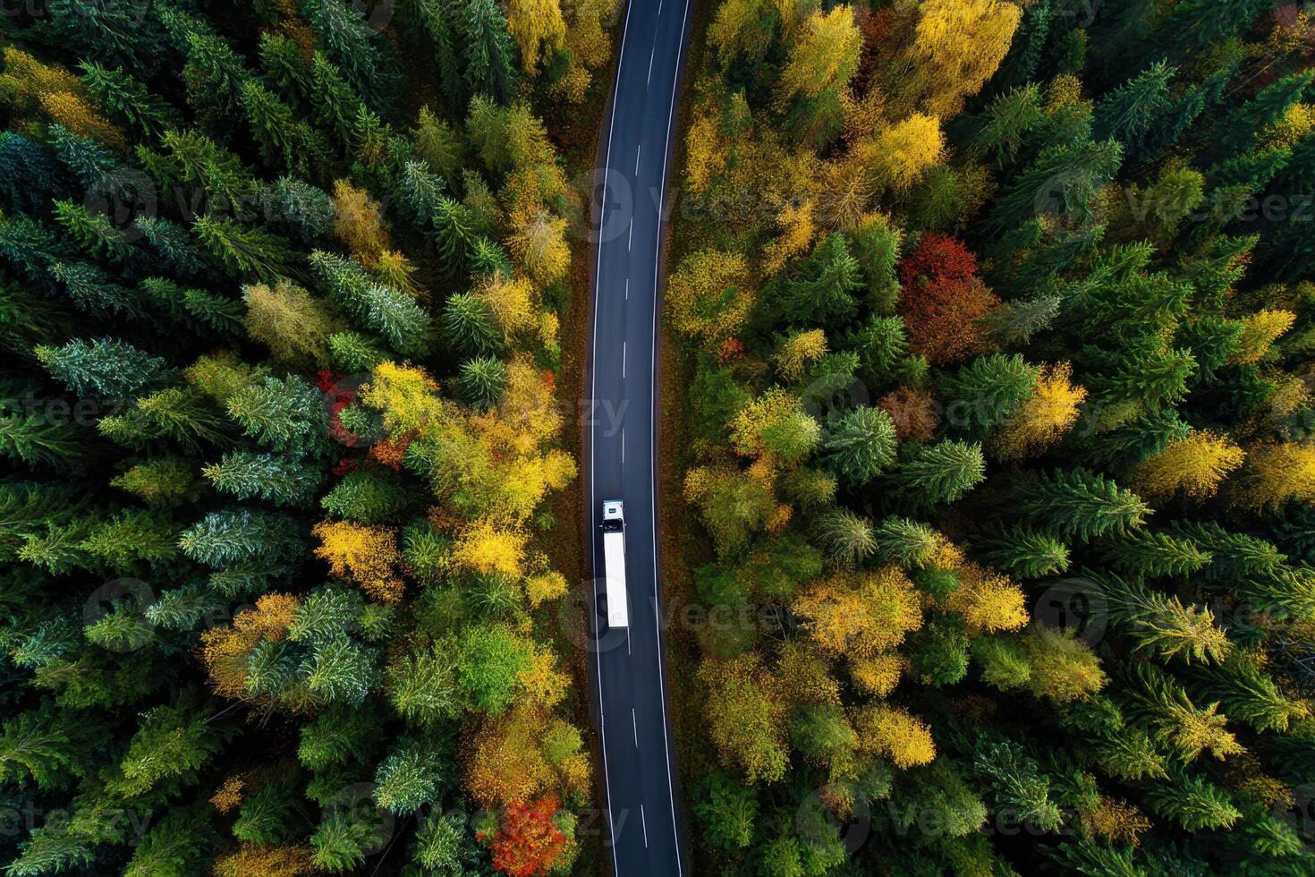 Road Through a Colorful Autumn Forest with Trees Changing Color from Above photo