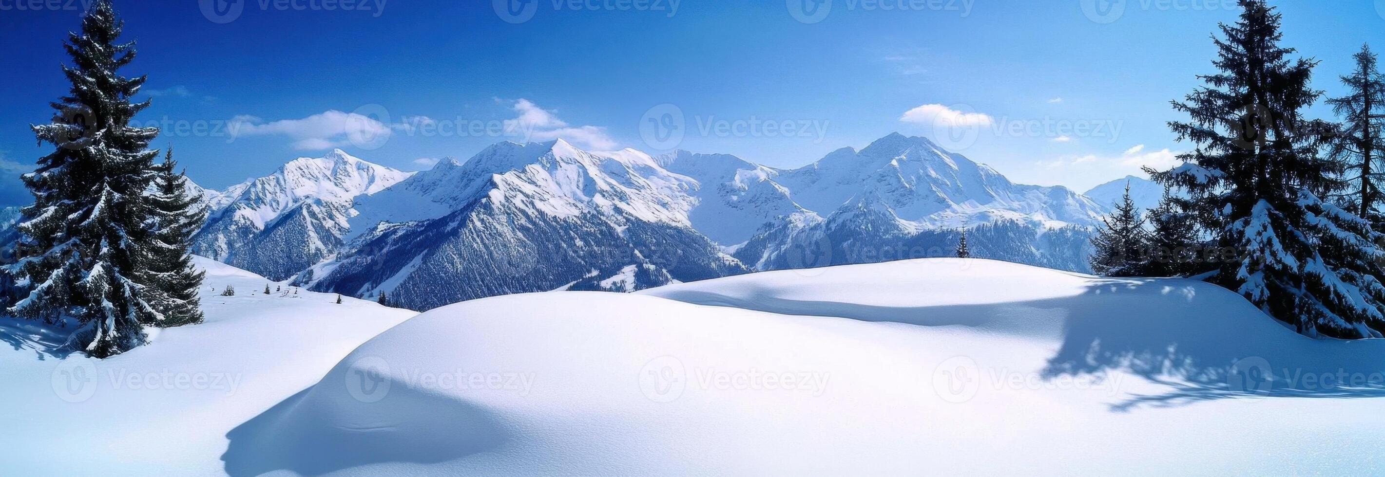 Snow Capped Mountain Range with Tall Pine Trees in Clear Blue Sky photo