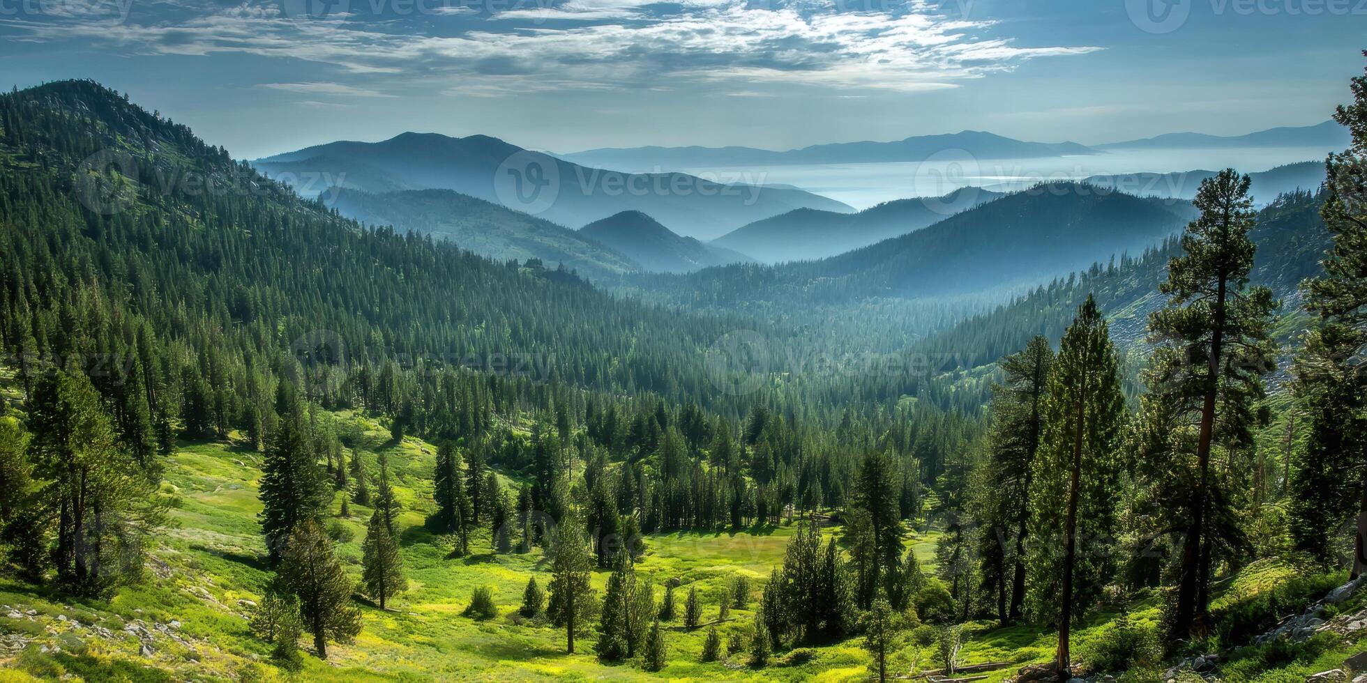 Green forest landscape with blue mountains in the distance on a beautiful day photo
