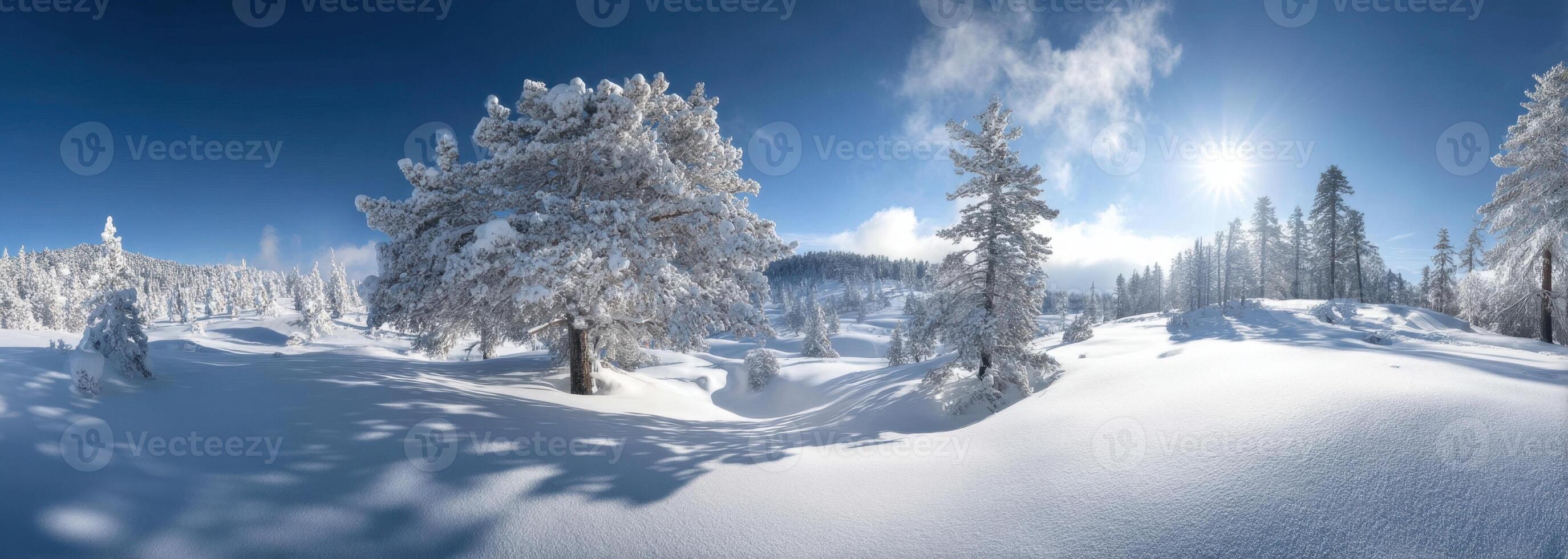 A Winter Wonderland Snow Covered Trees Under A Clear Blue Sky Landscape photo