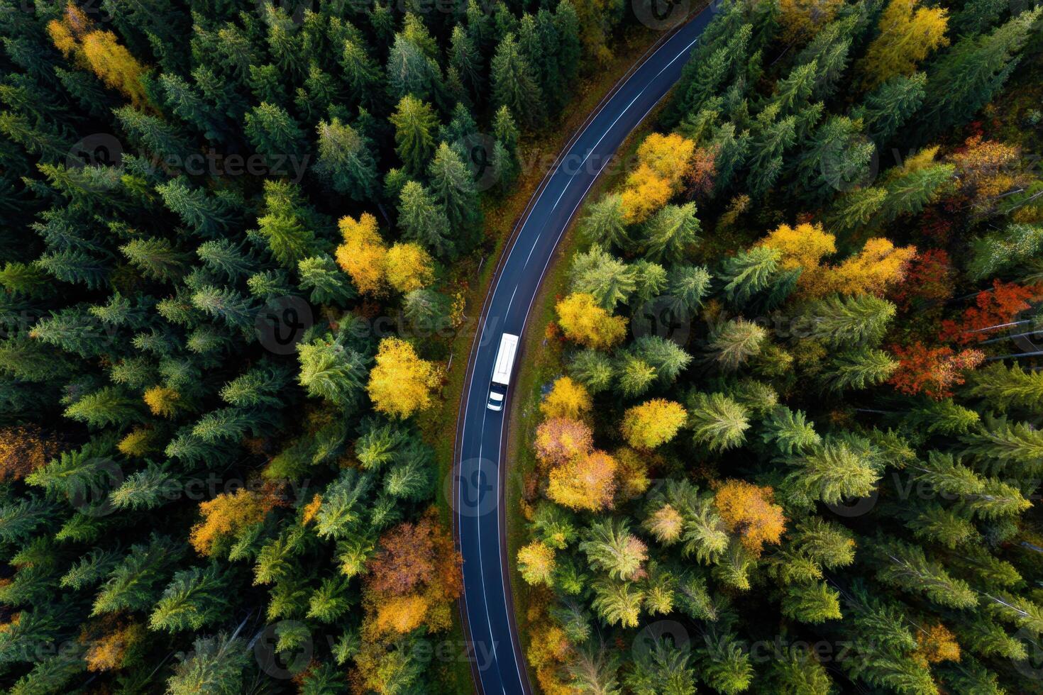 Road Journey Through Autumn Forest with Vehicle Capturing Nature's Serene Beauty From Above photo