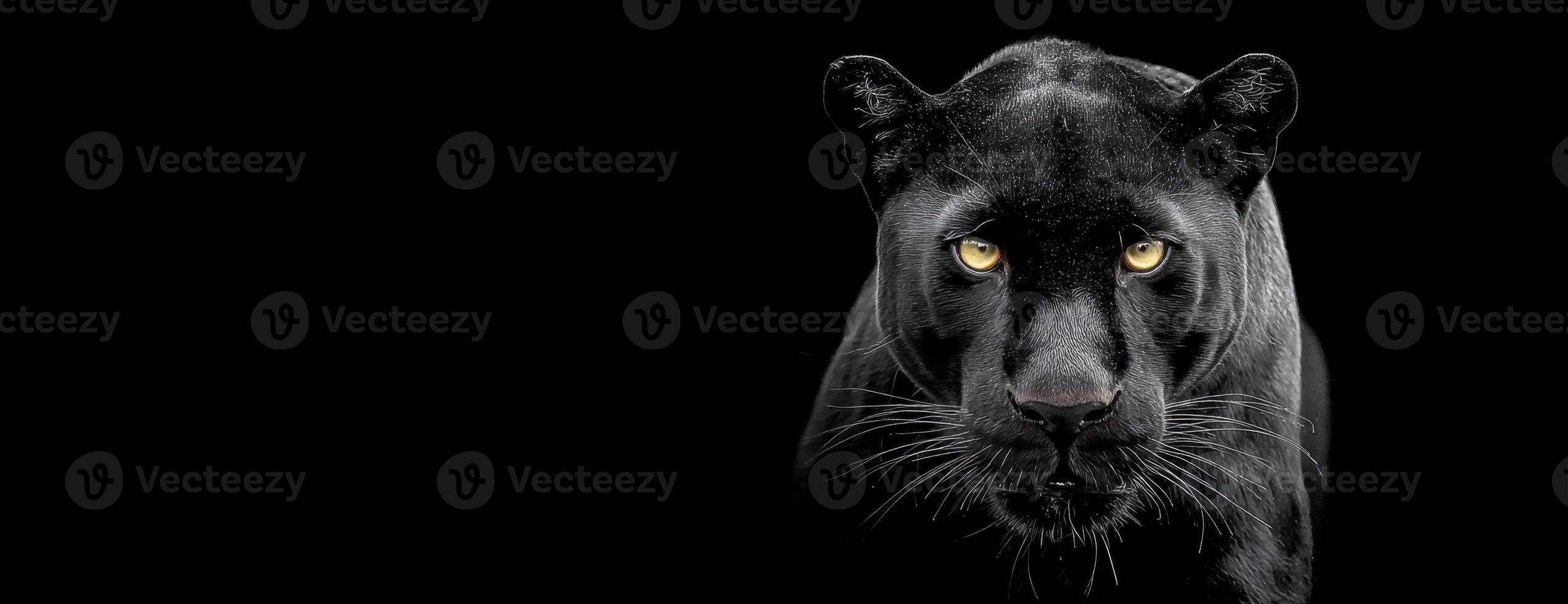 Captivating Black Panther Portrait with Intense Gaze in a Dark Backdrop Scene photo
