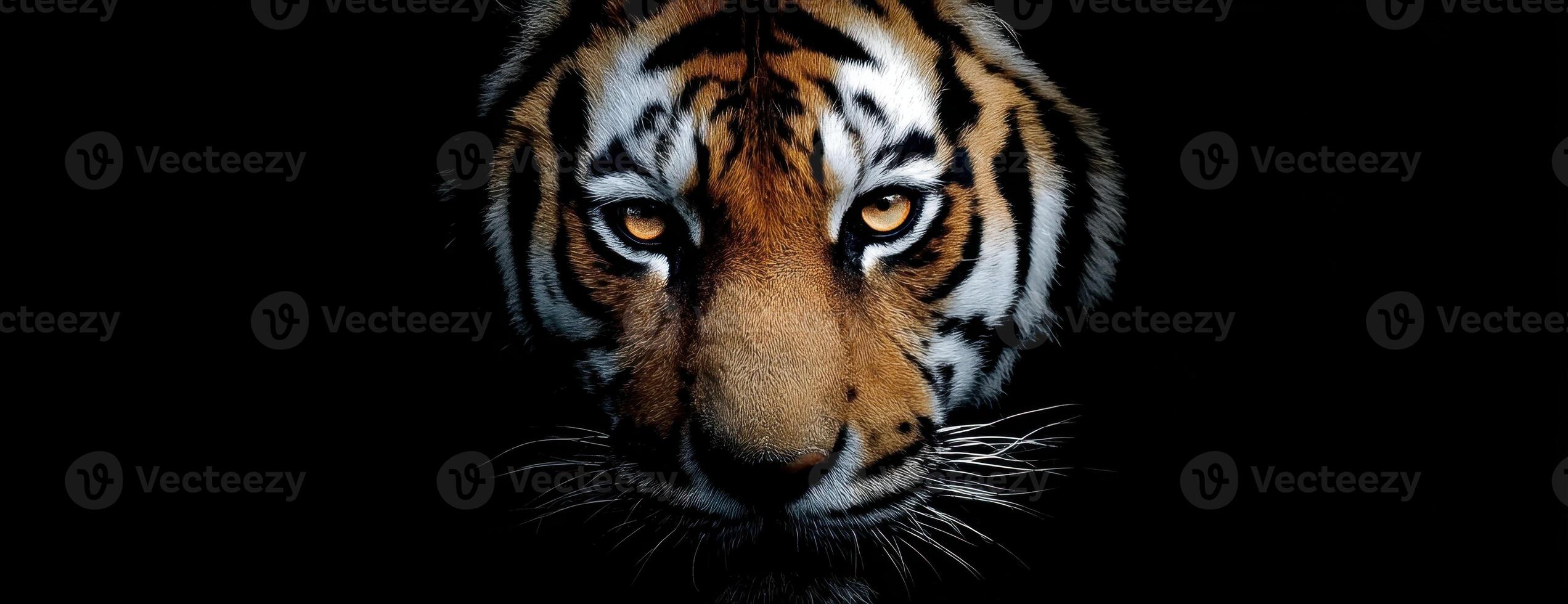 The Intensity and Beauty of a Tiger Face in Dark Background photo