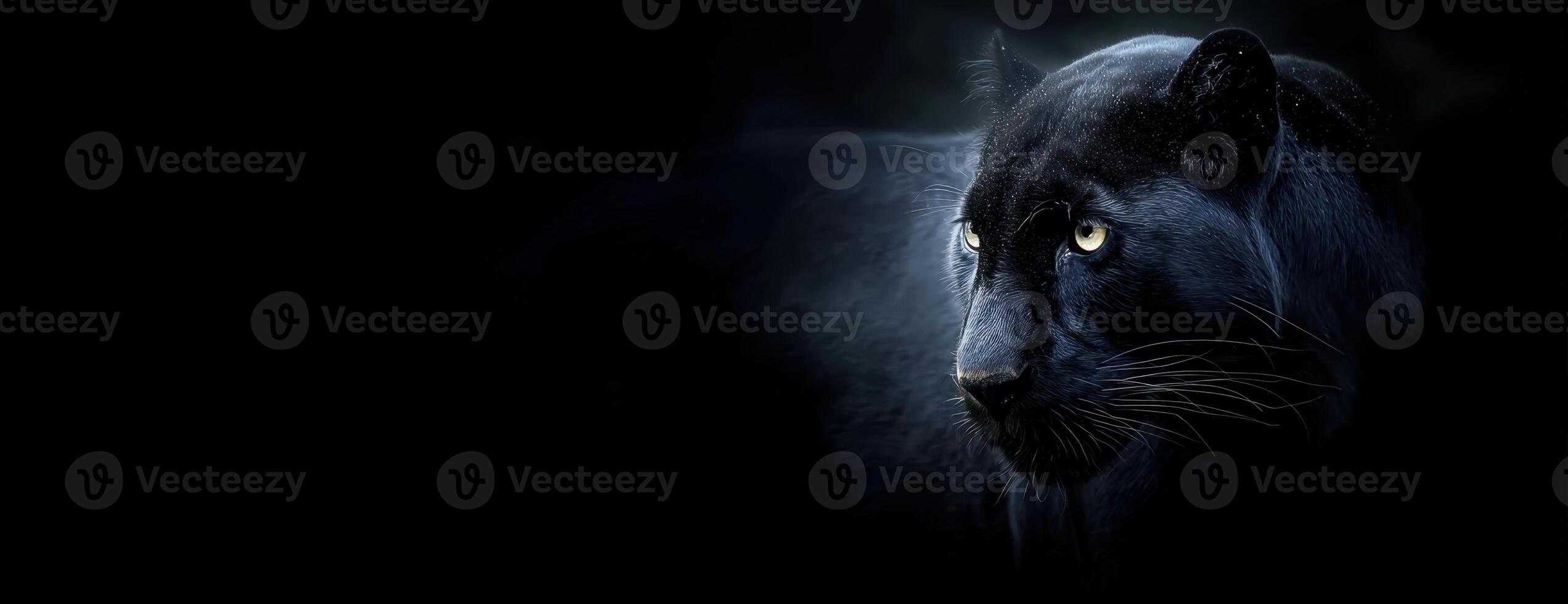Majestic Black Panther in Shadowy Portrait Against a Deep Black Backdrop photo