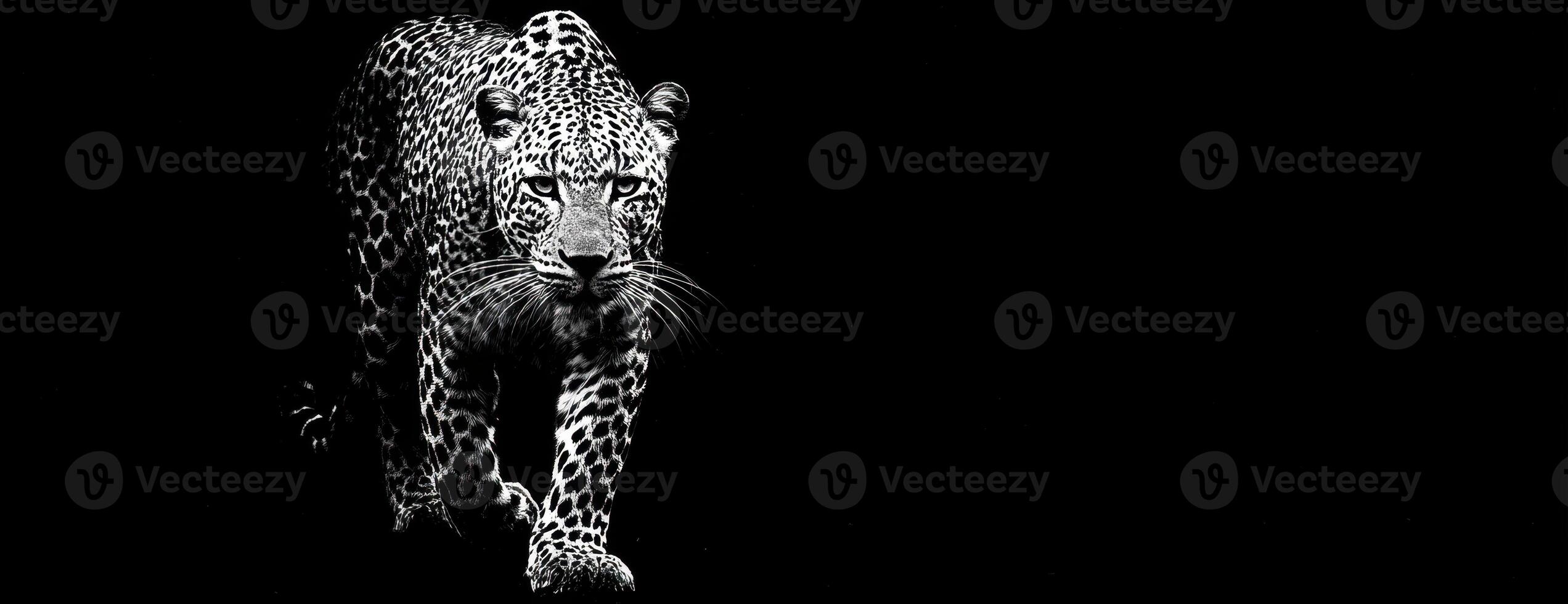Powerful Leopard Emerging from the Darkness in a Striking Black and White photo