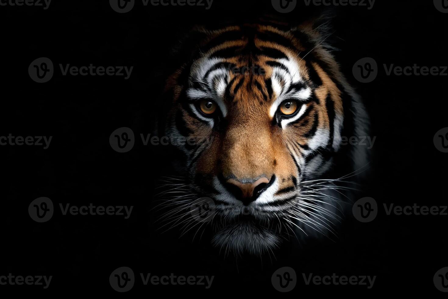 Majestic Portrait of a Tiger Emerging From the Darkness with Striking Eyes photo