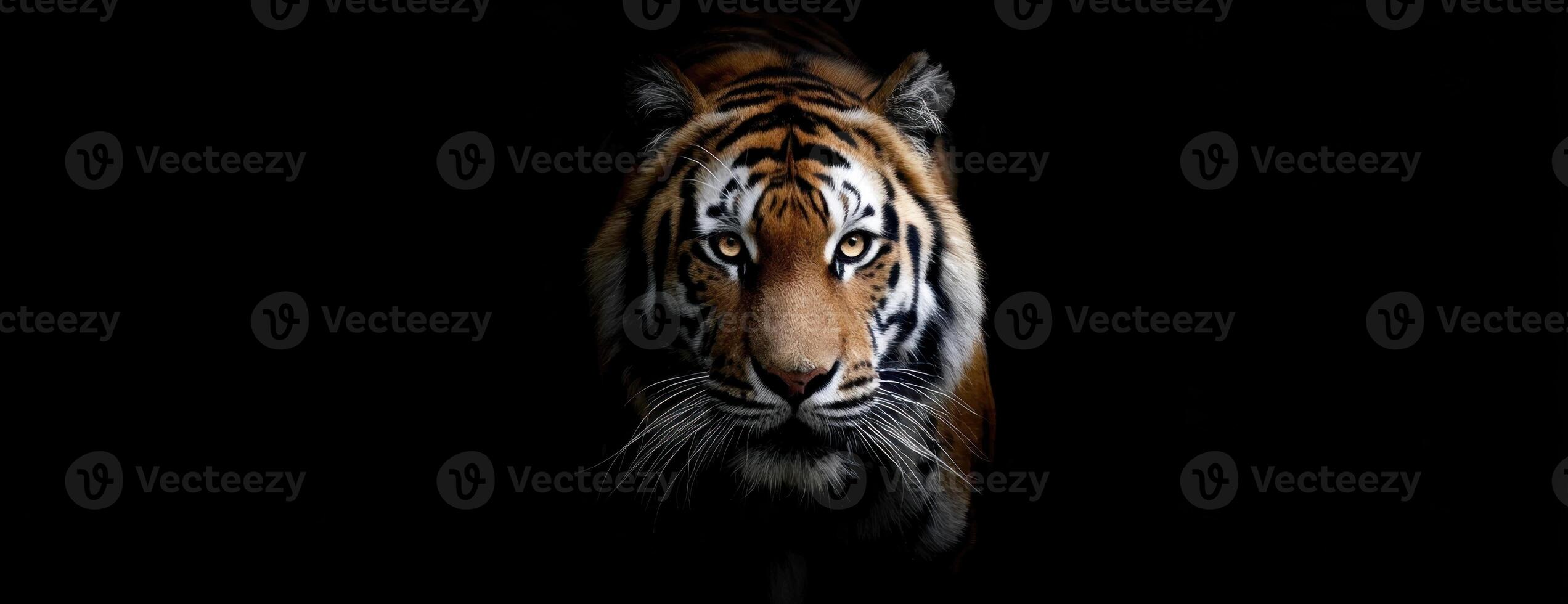 Striking Tiger Portrait In The Darkness A Wild Feline Masterpiece Displayed photo