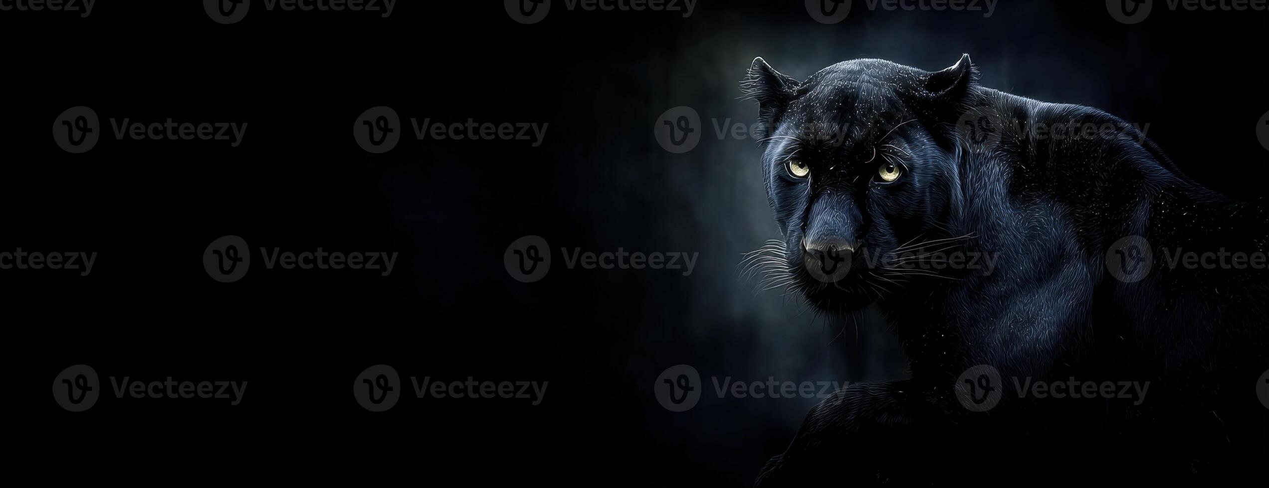 Majestic Black Panther Staring Boldly Into The Darkness Deep And Mysterious photo