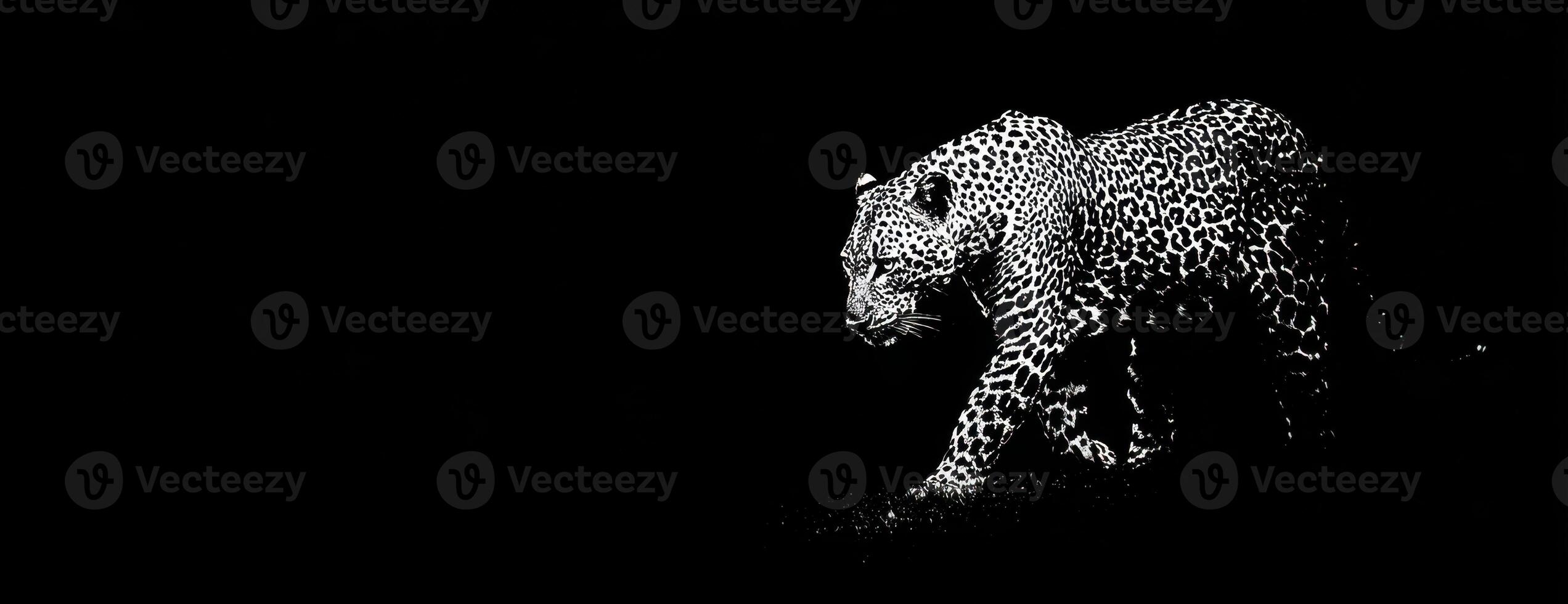 Abstract Representation Of A Bear Against A Dark Background photo