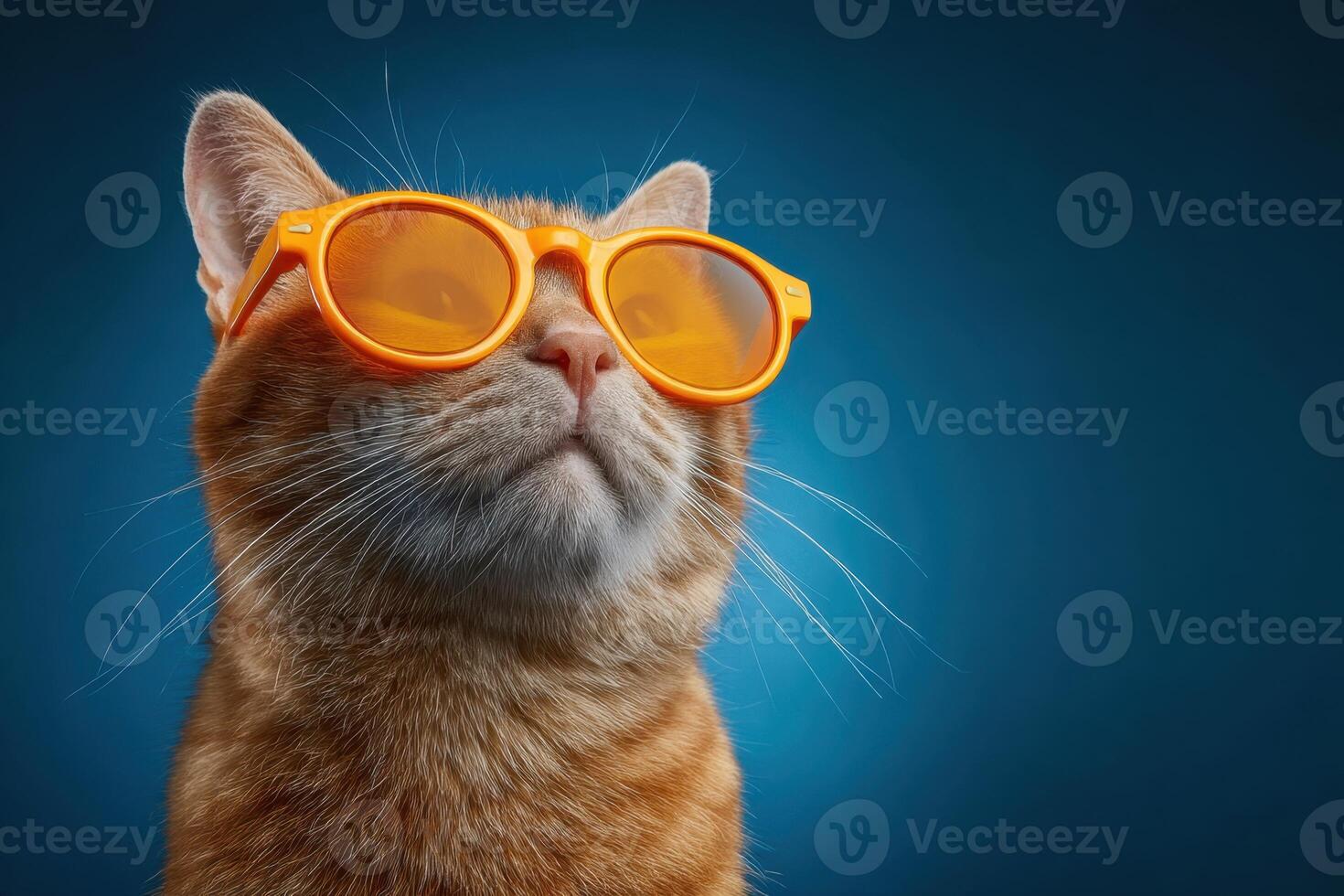 Funny Cat with Orange Sunglasses Enjoying The View Under Water Splashes Today photo