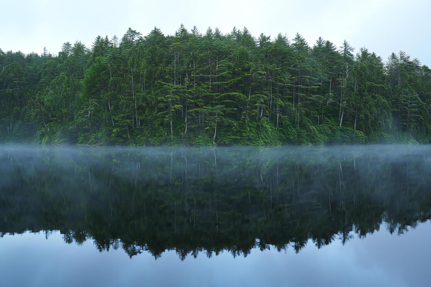 Nature Background Serene Mist Shrouded Lake Reflected in Tranquil Forest photo