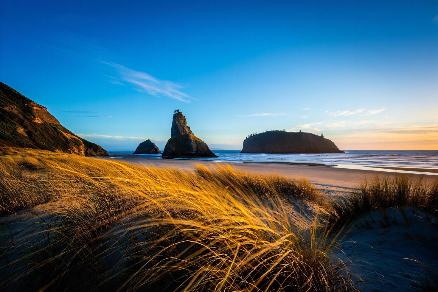 Nature Background Stunning Sunset Seascape Golden Grass Ocean Rocks and Sandy Beach photo