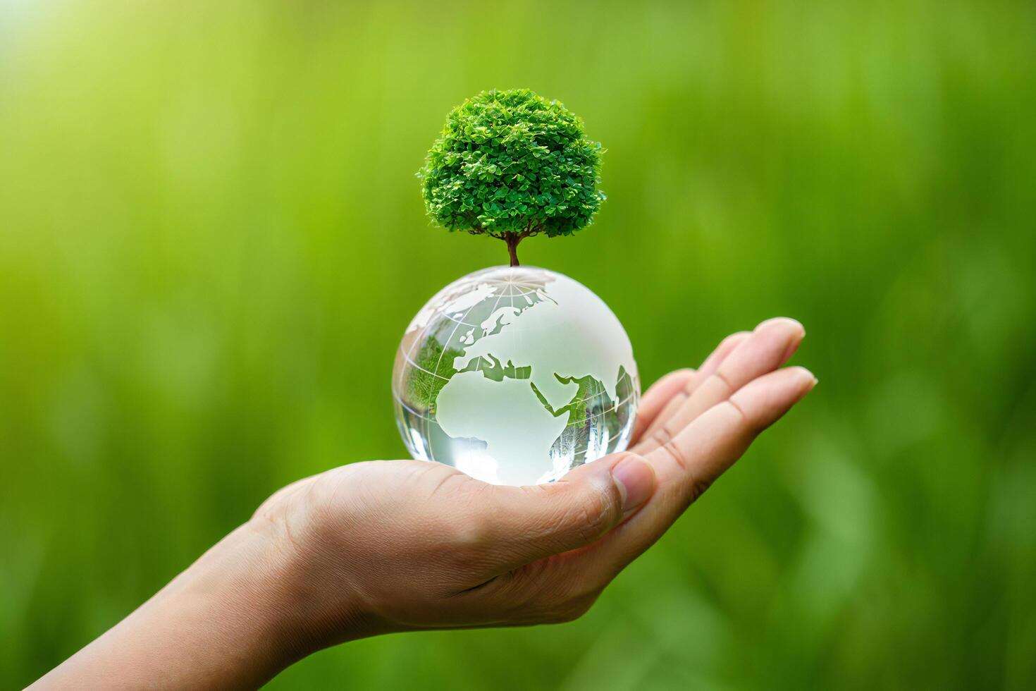 Nature Background Protecting Our Planet Hand Holding Glass Globe with Sapling Environmental Conservation photo