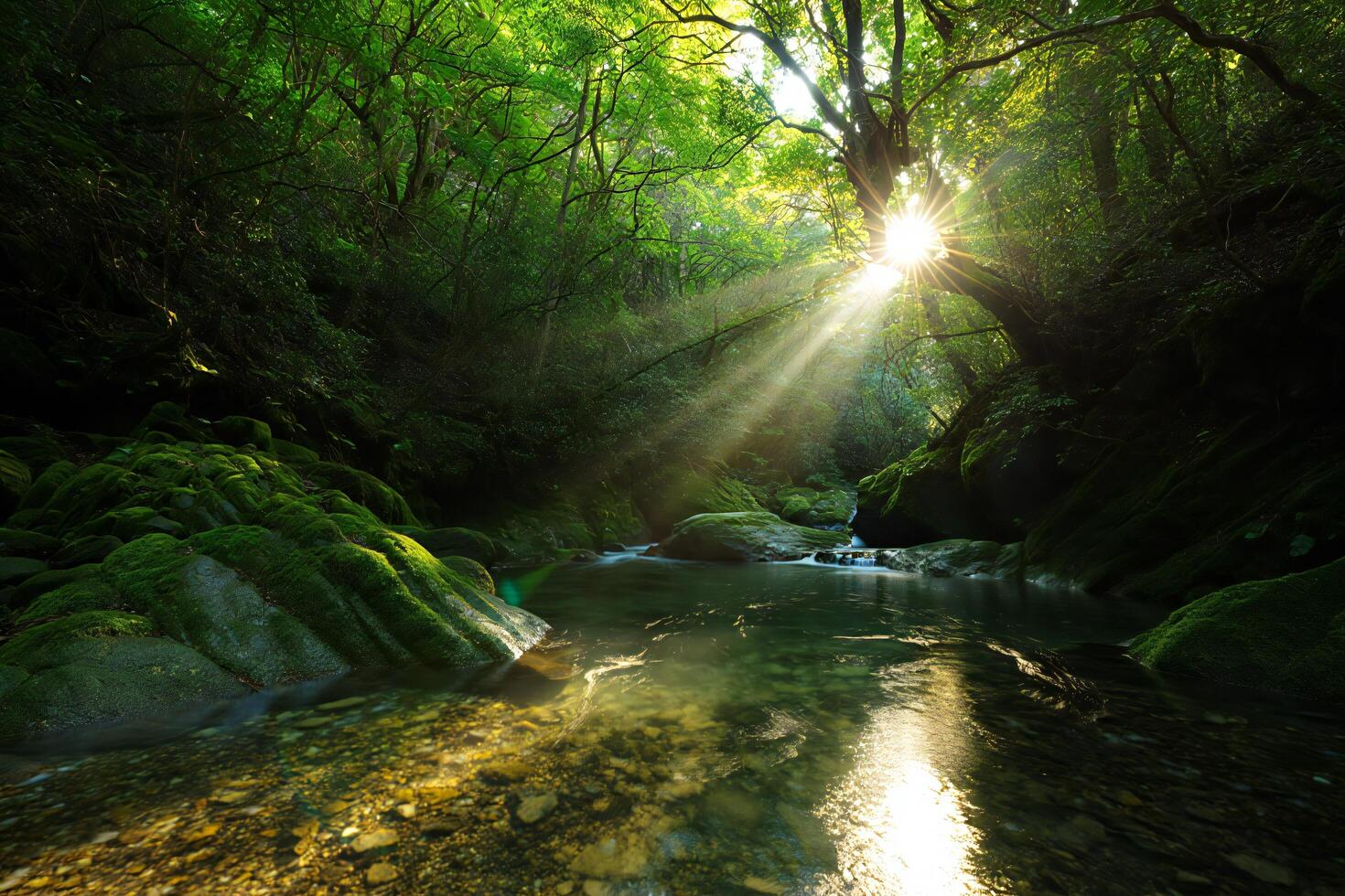 Nature Background Serene Sunbeams Illuminating Mossy Rocks and Crystal Clear Stream in Lush Green Forest photo