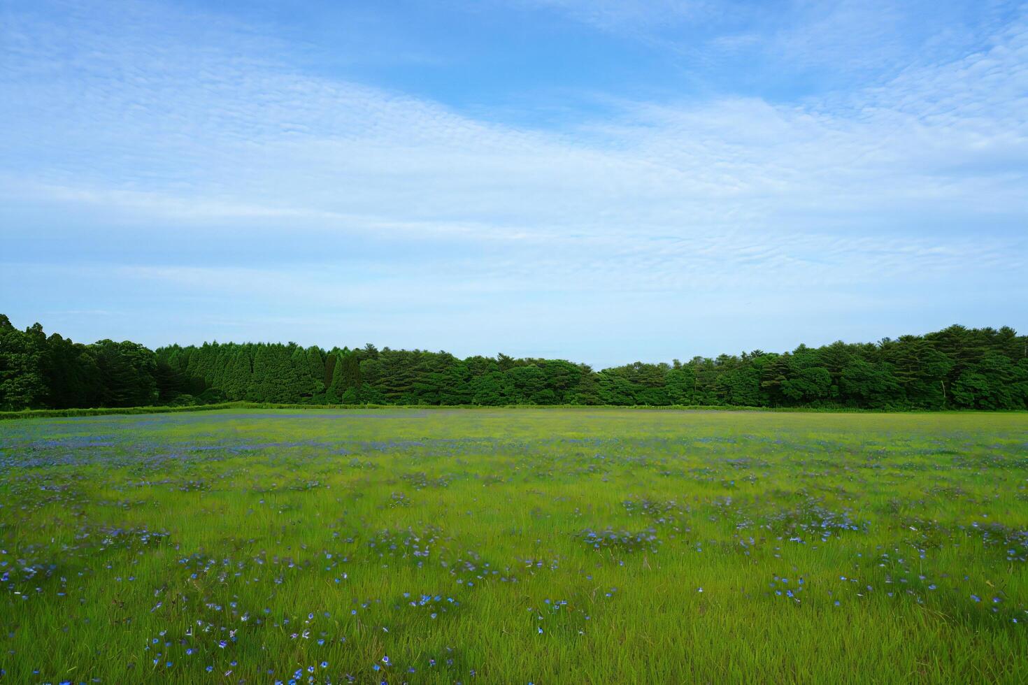 Nature Background Serene Spring Meadow Landscape Blue Flowers Green Grass and Lush Trees Under a Blue Sky photo