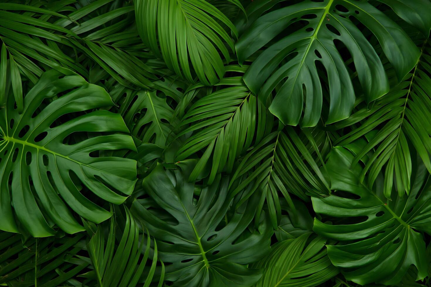 Flowers Background Lush Tropical Green Monstera and Palm Leaves Background Texture photo