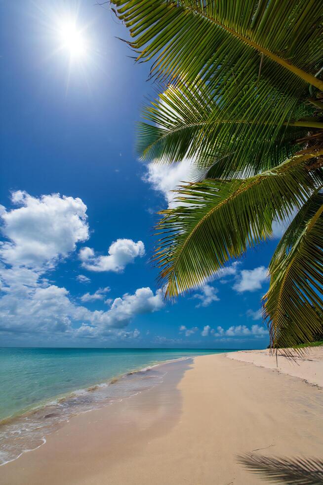 Beach Background Idyllic Tropical Beach Scene Palm Trees Azure Ocean Sunny Sky White Sand photo