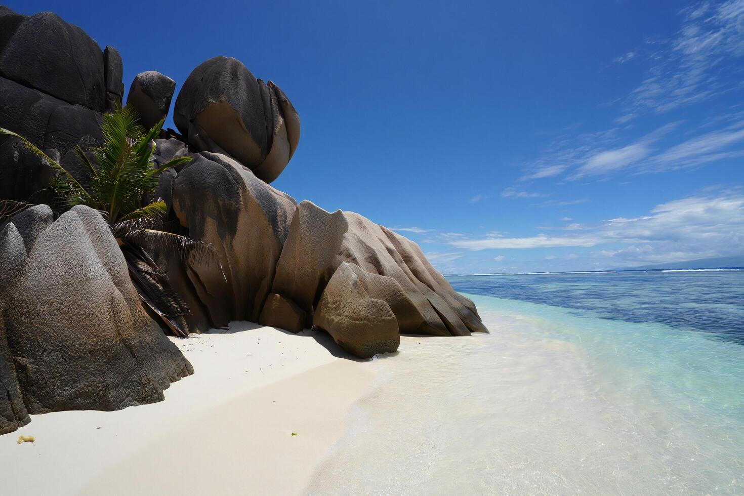 Beach Background Idyllic Tropical Beach Scene Granite Boulders Palm Trees and Turquoise Ocean photo