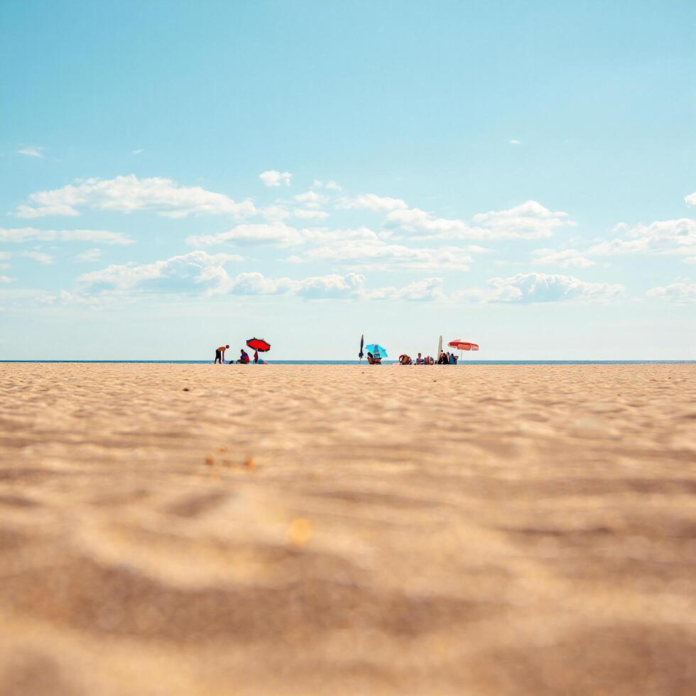 Beach Background Tranquil Beach Scene Summer Vacationers Relaxing Under Umbrellas on Sandy Shore photo