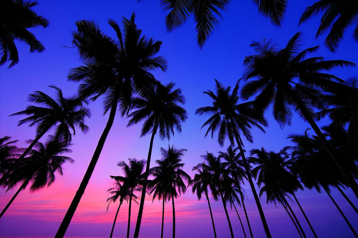 Beach Background Vibrant Sunset Silhouette of Palm Trees on Tropical Beach photo