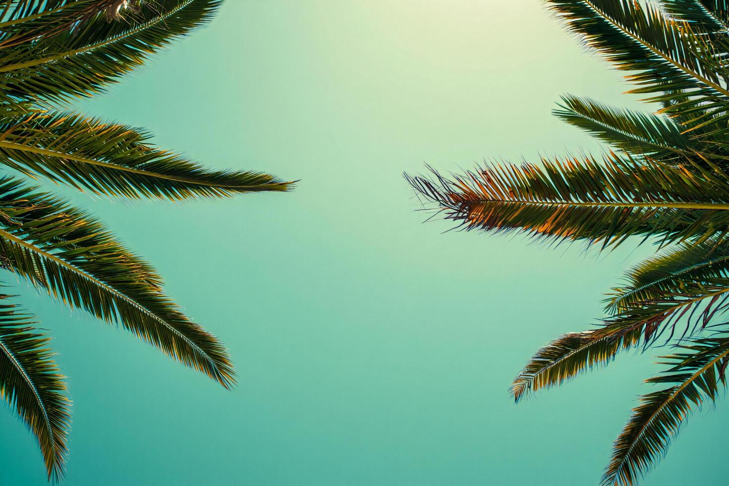 Beach Background Tropical Paradise Palm Fronds Against a Vibrant Teal Sky photo